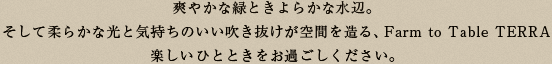 ç½ãããªç·ã¨ãããããªæ°´è¾ºãããã¦æãããªåã¨æ°æã¡ã®ããå¹ãæããç©ºéãé ããFarm to Table TERRAæ¥½ããã²ã¨ã¨ãããéãããã ããã