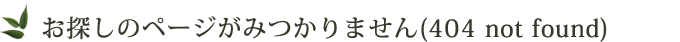 ãæ¢ãã®ãã¼ã¸ãã¿ã¤ããã¾ããã404 not found