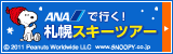 ＡＮＡ　北海道スキー＆スノーボード